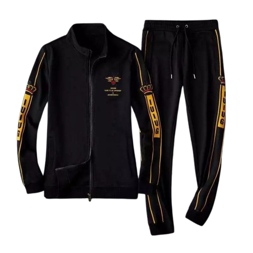 Premium Hoodei &  Trouser full track Suit HT-45