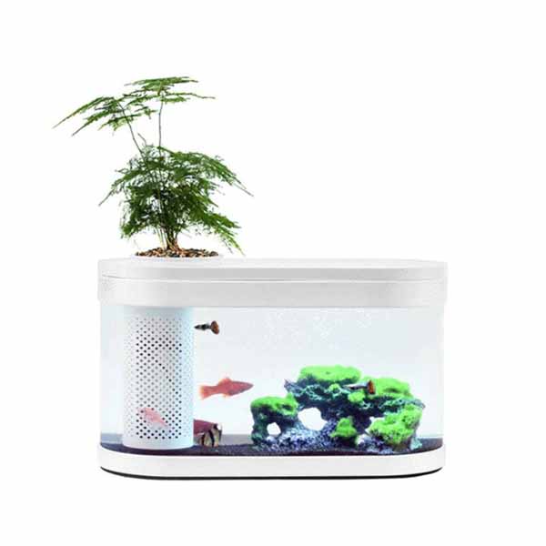 Xiaomi Geometry Ecosystem Small Water Garden Fish Tank Transparent Aquarium- White