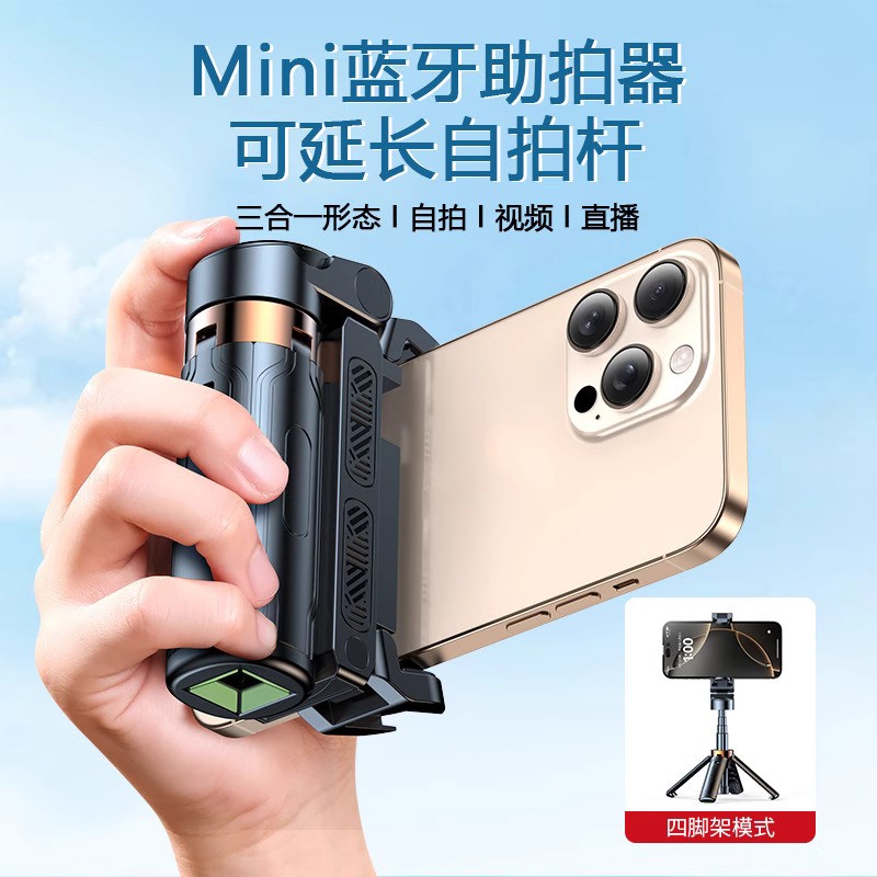 Aluminum Alloy R17D Selfie Stick(Global)