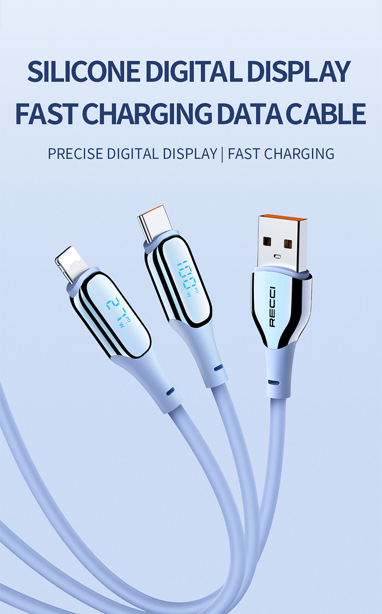 Recci RS17CC 120cm Phantom Type-C To Type-C Fast Charging Data Cable